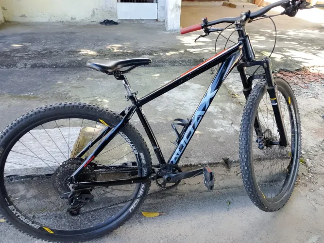 Bicicleta Audax