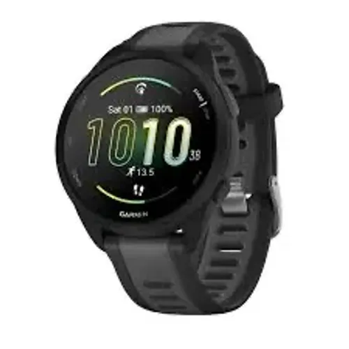 Garmin 165