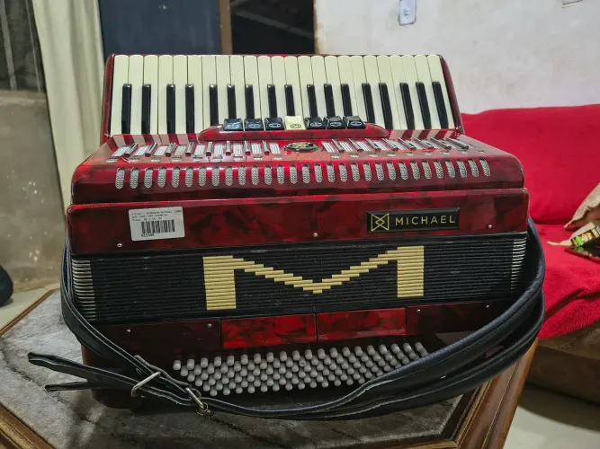 Acordeon Sanfona Michael 120 baixos