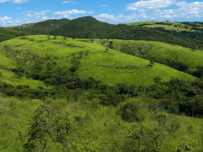 Fazenda em Montes claros com altitude café Arábica /Permuta caminhão,Gado,trator...