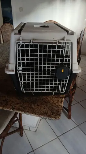Caixa de transporte animais