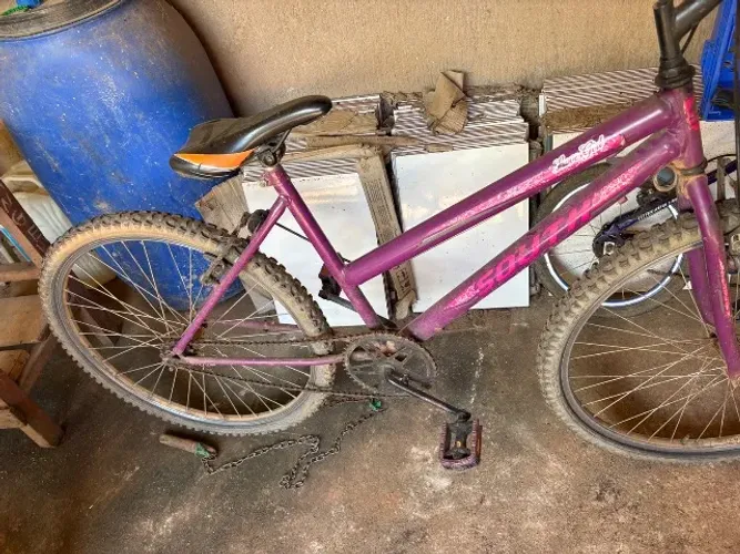 Bicicleta
