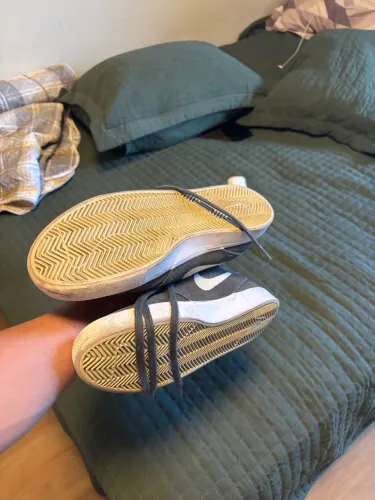 Tênis Nike sb