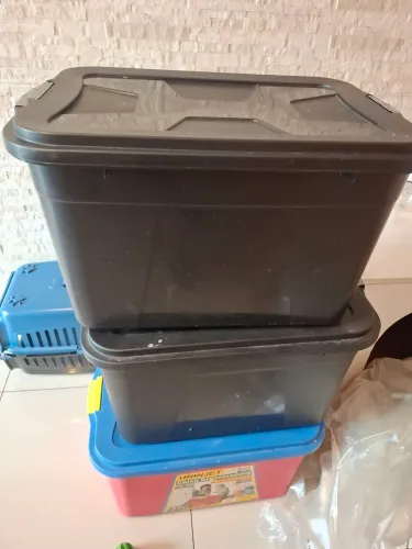 Caixa organizadora