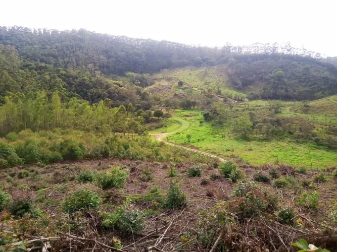 SÍTIO RURAL em PARAIBUNA - SP, CEDRO