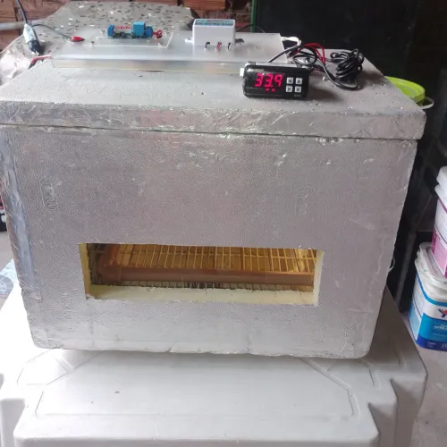 Chocadeira de ovos automática 