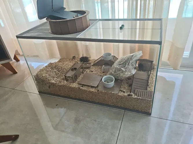 Caixa de vidro para hamster