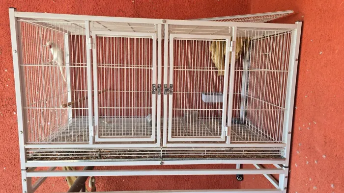 Viveiro rosela e outros passaros desmontável com porta luxo