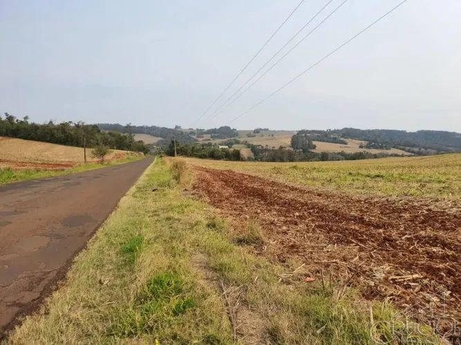 Terreno 20.000m2 - Venda - Rodovia Mábio Gonçalves Palhano