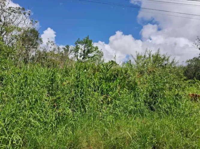 Lote/Terreno à Venda, São Fernando - Itanhaém