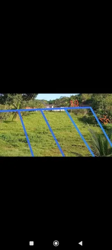 Terreno ( lotes )