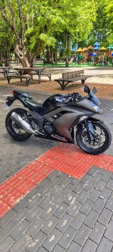 Kawasaki Ninja 300 2015