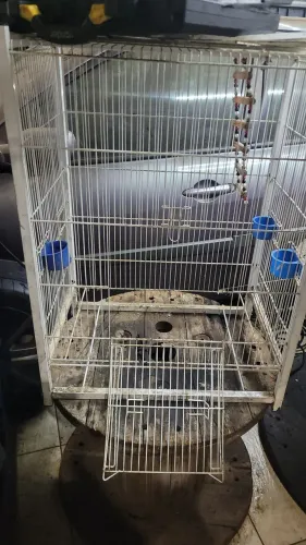 Gaiolas para pássaros 