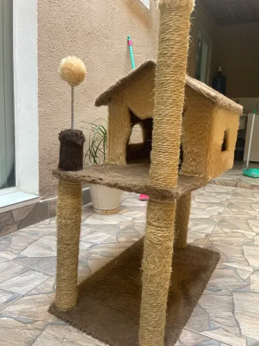 Casa de gato