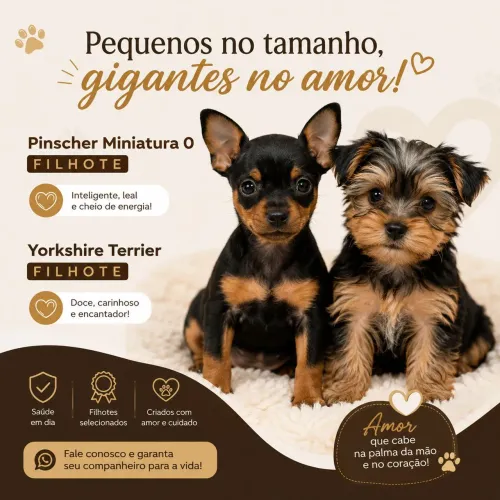 Perfeição e genética disponível.Todas as garantias 