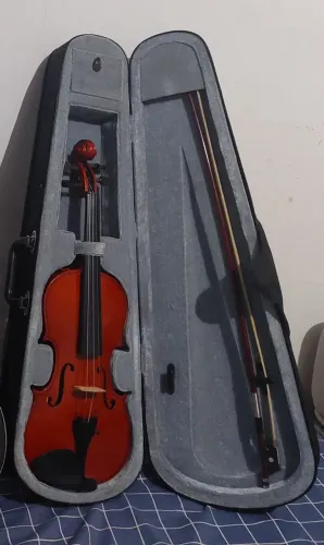 Violino