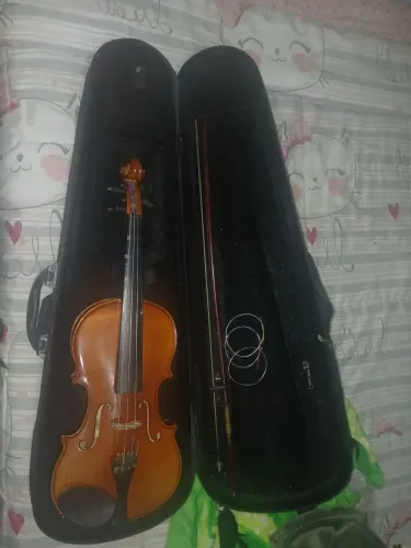Violino