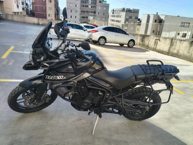 Tiger Triumph XRX 2015