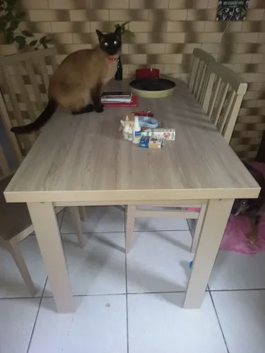 Mesa 4 com cadeiras