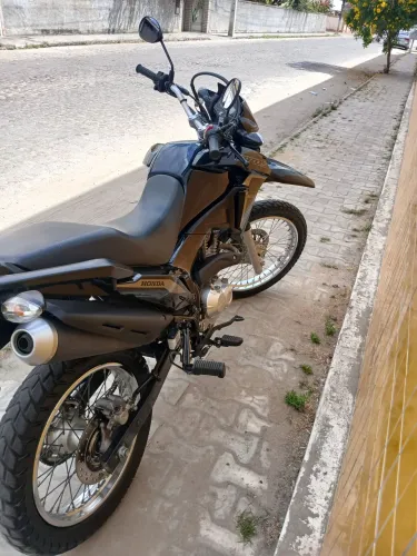 Moto Bros 2024/2024