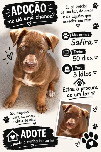 Doa - se Cachorro