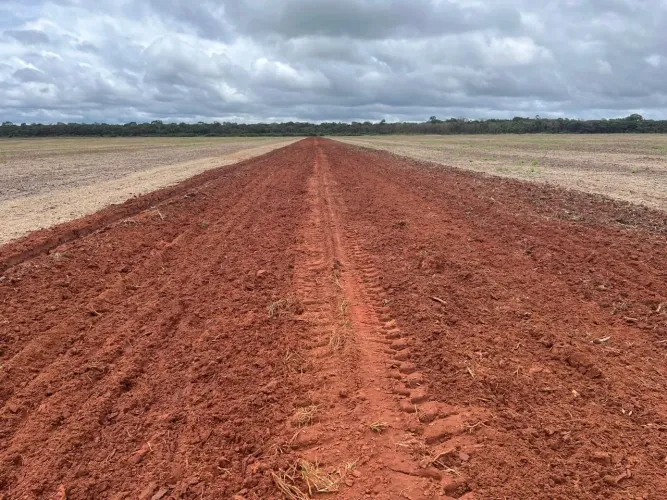 Fazenda de arrendamento 520 hec plantando e Diamantino MT. Argila 22 a 40%