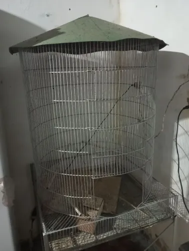 Viveiro