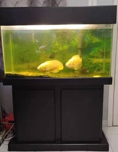 Aquário 108 litros
