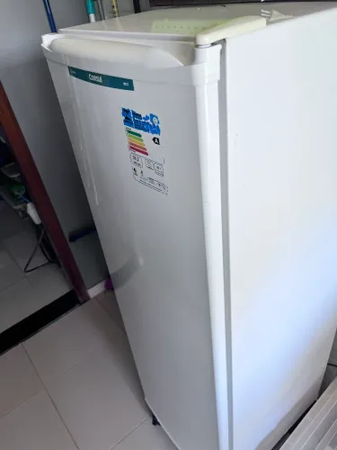 Freezer vertical