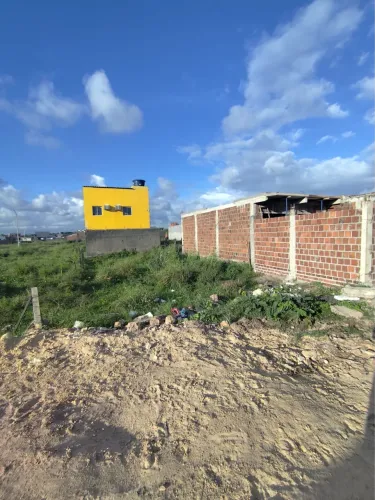 Terreno 8x20 atrás do rei da coxinha.