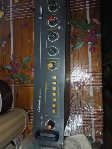 Camara de eco stanei 2
