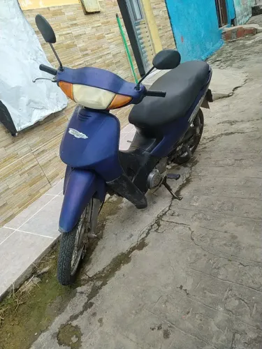 Biz boa e barata *