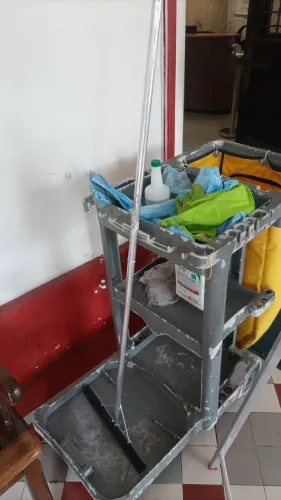 Faço limpezas limpo piscinas faxina em geral