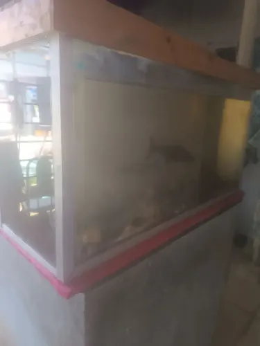 Aqurio