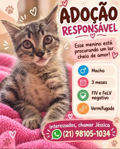 Doação
