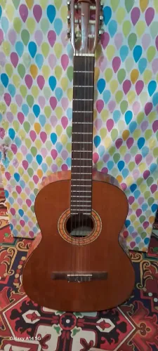 Vendo violão