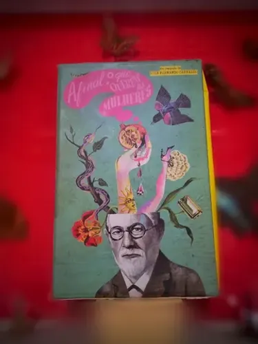 Livros ilustrados Seriado Completo: Afinal, o que querem as mulheres?)