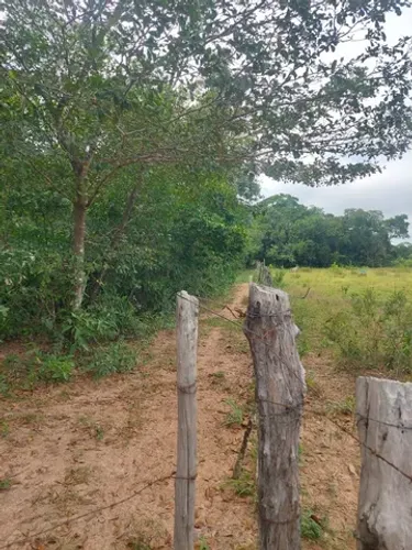 VENDO CHÁCARA RIO ARICA 15 HECTARES 