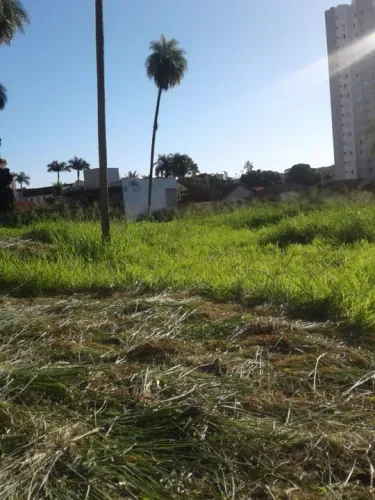 Roçada de terreno, limpeza e descarte