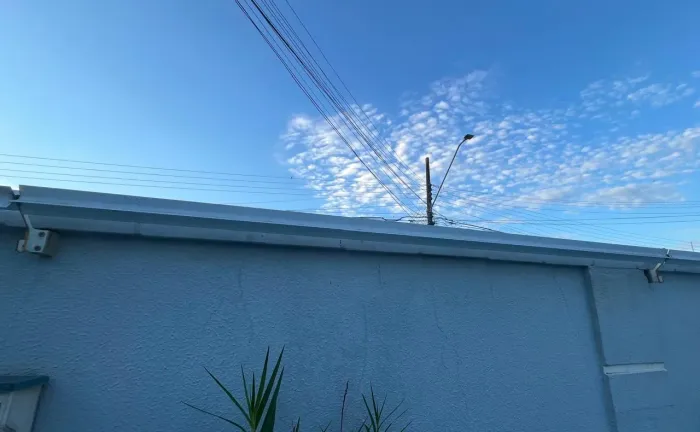 dispositivos roller antifuga de gatos para muros