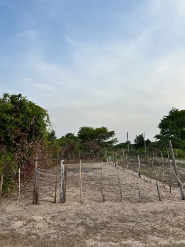 Terreno em TUTÓIA , 8 km das praia e dunas