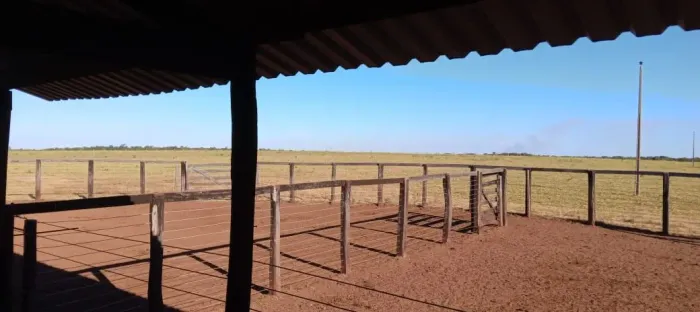 Fazenda  554 hectare.. estuda pega imóvel .