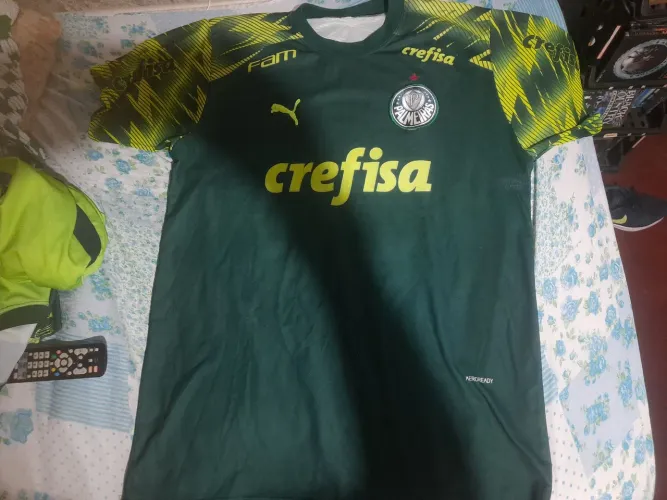 Camisa do palmeiras treino g