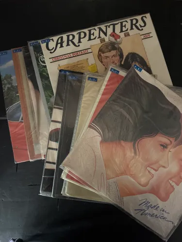 Vinil CARPENTERS coleção com 10 vinil incluindo 2 álbuns duplos e Christmans portrait