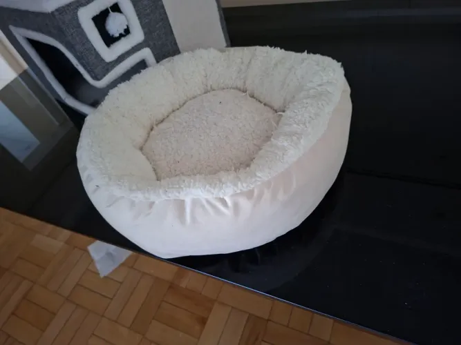 Casa pra pets