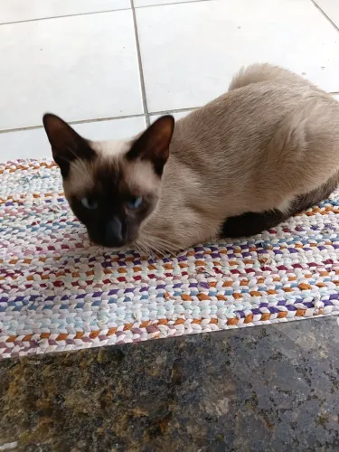 Doação