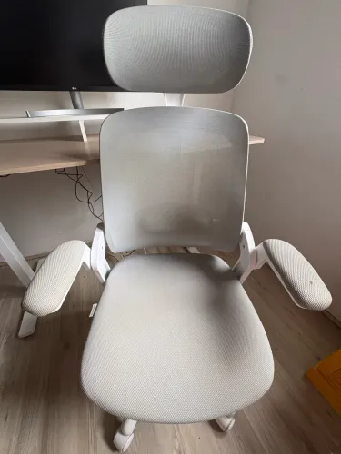 Cadeira De Escritório Astra Ergonômica Elements Cinza Branco