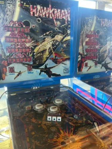 pinball hawk man