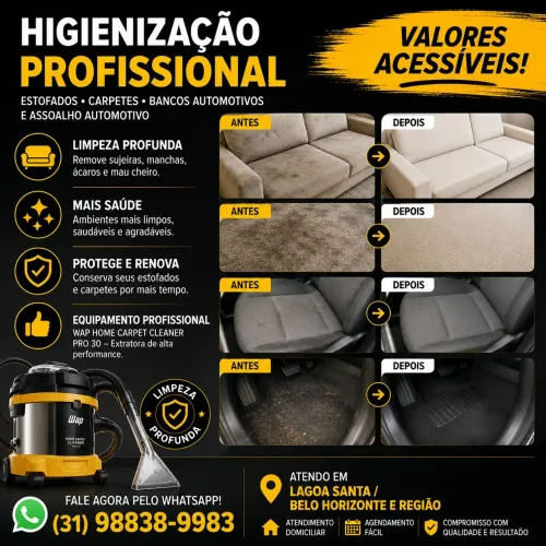 HIGIENIZAÇÃO PROFISSIONAL DE ESTOFADOS E INTERIORES AUTOMOTIVOS