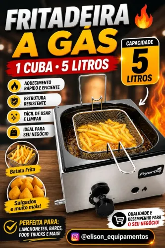 Fritadeira a gás 1 cuba 5 litros 